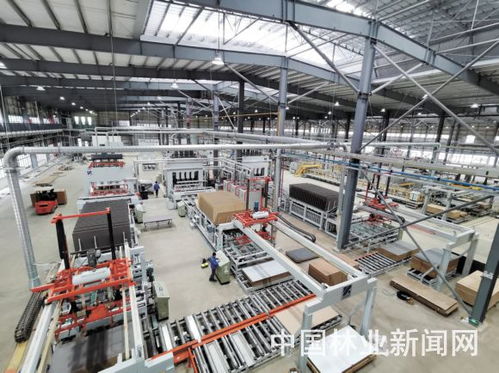 木業(yè)行業(yè)如何走出疫情之困